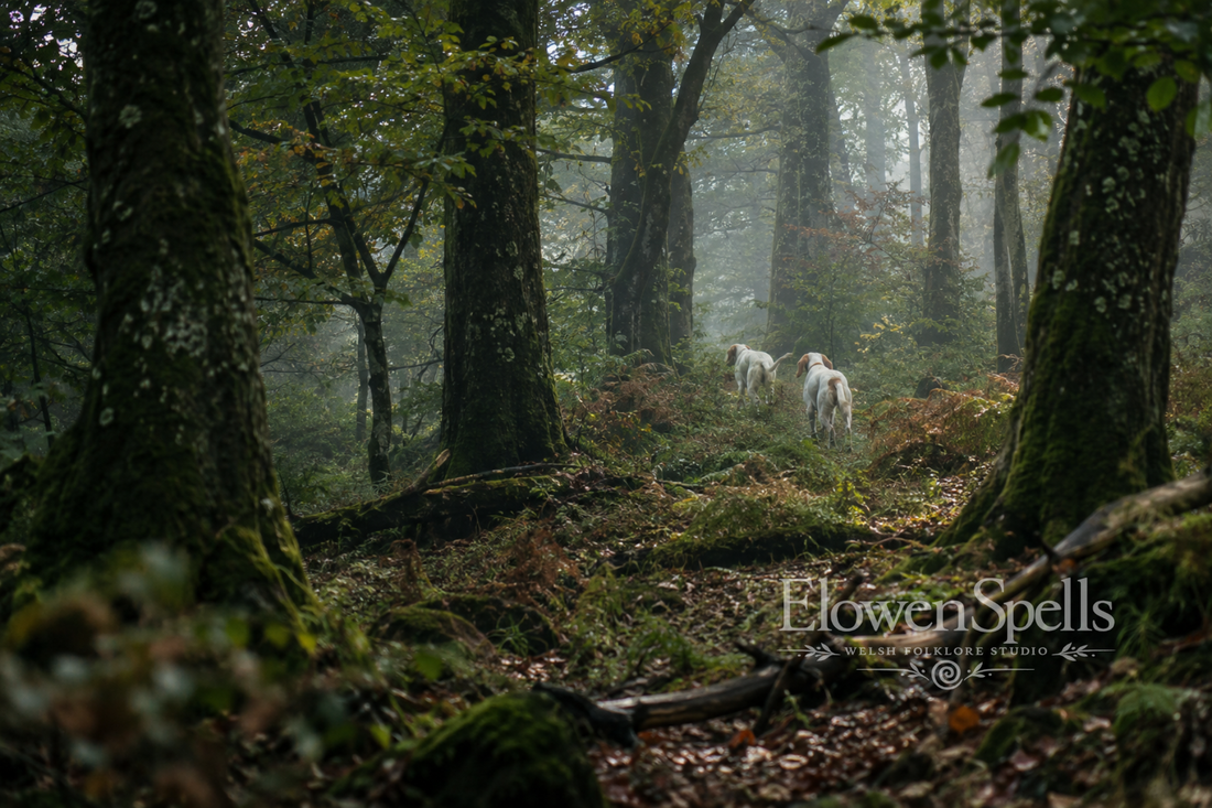 Arawn and Pwyll: Trust, Exchange and the Making of a Friendship