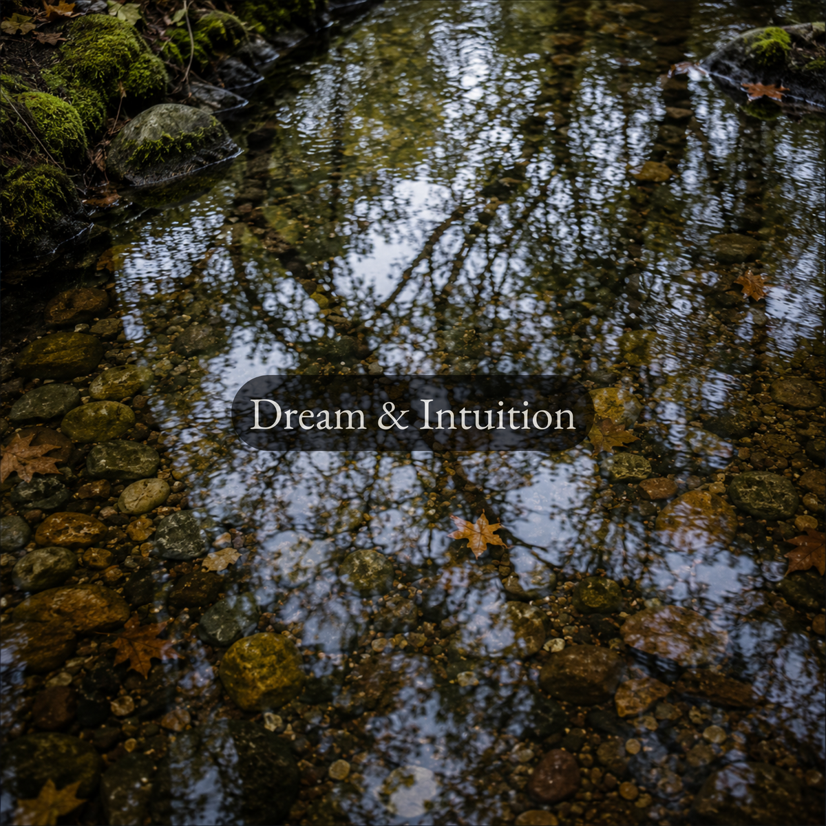 Dream & Intuition | Welsh Rites for Insight & Discernment