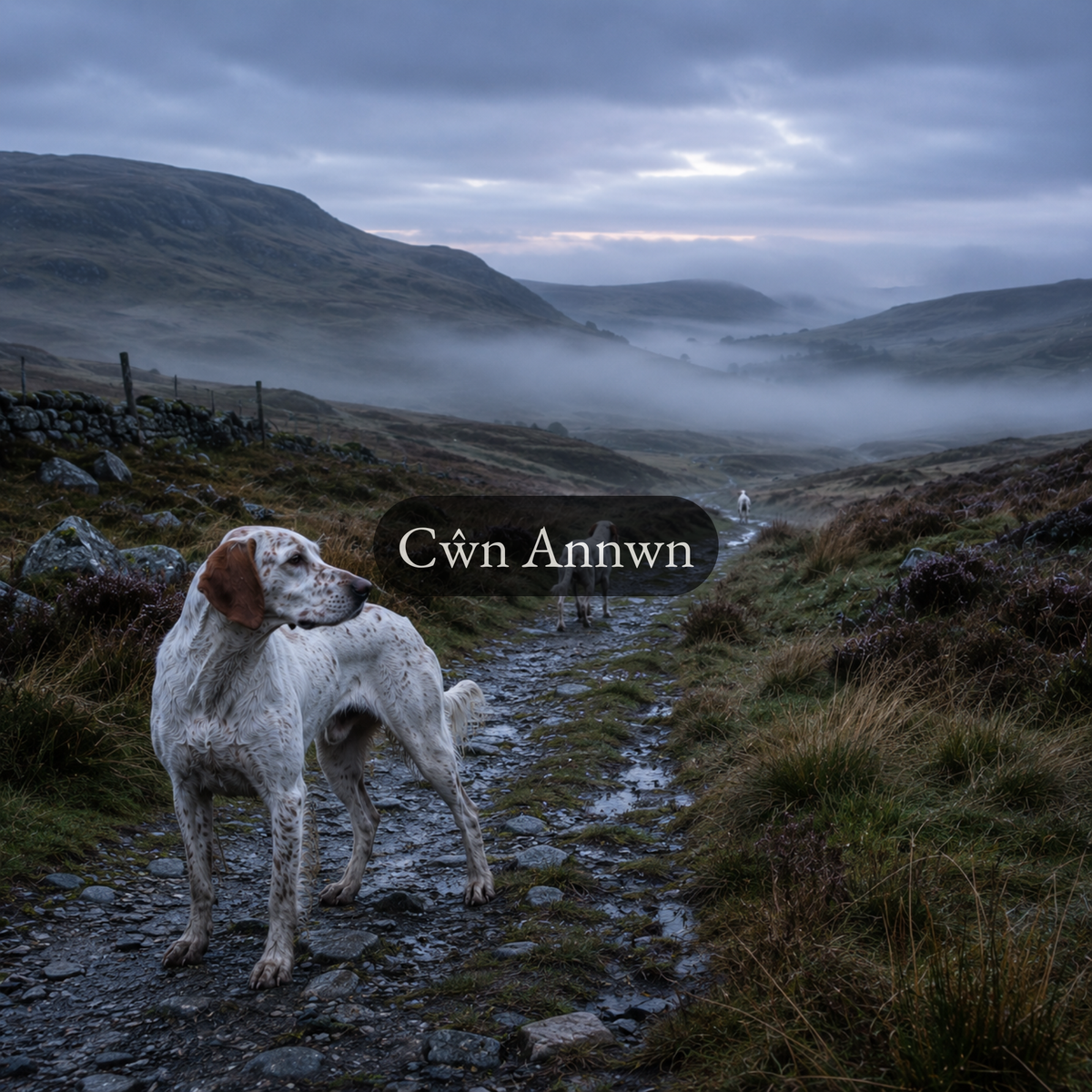 The Cŵn Annwn | Welsh Rites for Protection & Thresholds