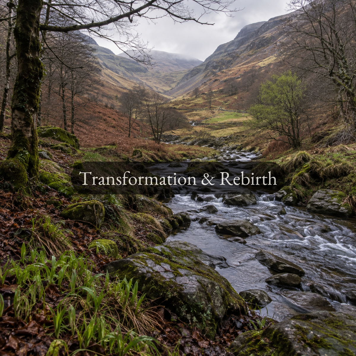 Transformation & Rebirth | Welsh Rites for Change
