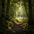 The Eye of Light - A Welsh Rite of Visibility & Expression