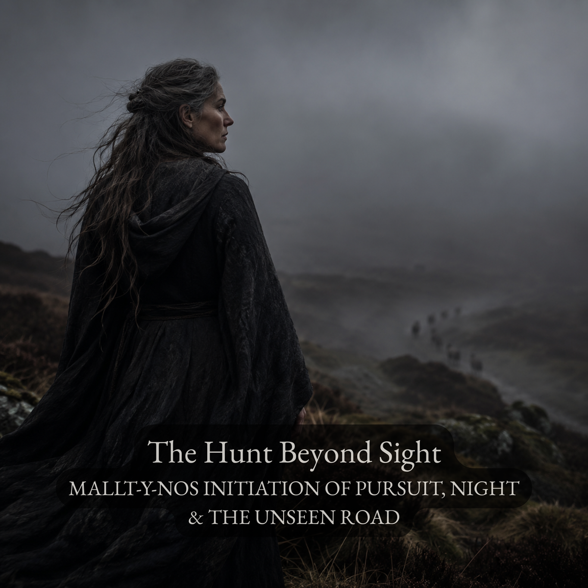 The Hunt Beyond Sight - Mallt-y-Nos Initiation of Pursuit, Night & the Unseen Road
