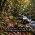 Ceridwen’s Turning - A Welsh Rite for Release, Transition & Changing Shape