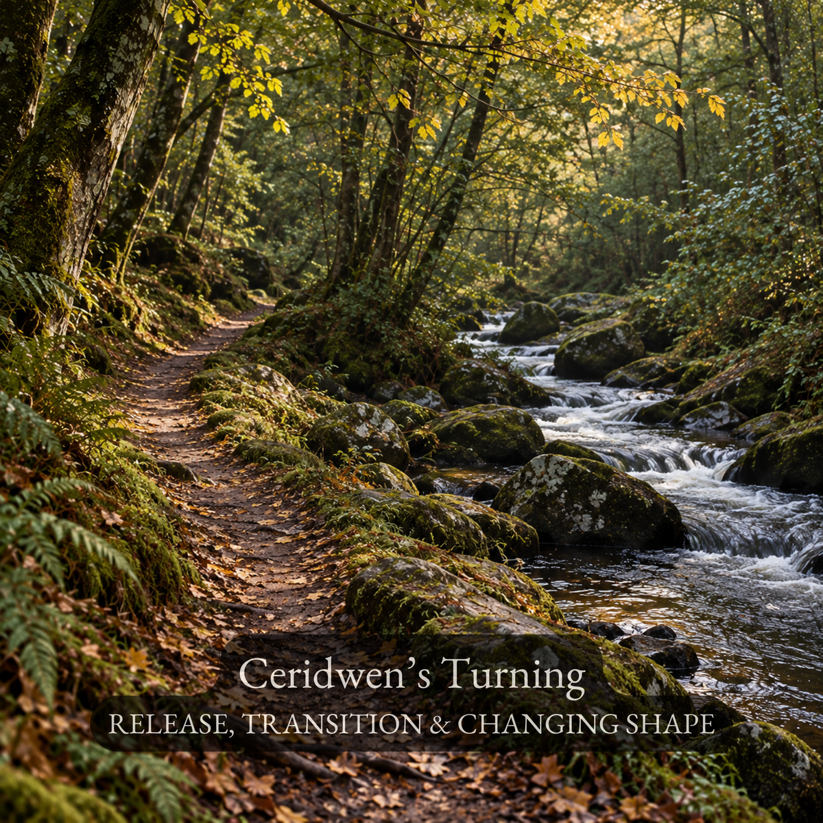 Ceridwen’s Turning - A Welsh Rite for Release, Transition & Changing Shape