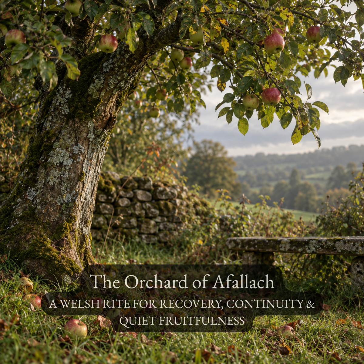 The Orchard of Afallach - A Welsh Rite for Recovery, Continuity & Quiet Fruitfulness