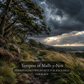 Tempest of Mallt-y-Nos - A Mallt-y-Nos Rite for Release, Courage & Breaking Stagnation