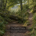 The Steady Course - A Personalised Welsh Rite for Orientation, Adaptation & the Next Workable Step