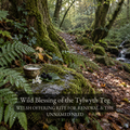 Wild Blessing of the Tylwyth Teg - A Welsh Offering Rite for Renewal, Uncertainty & What Has Not Yet Been Named